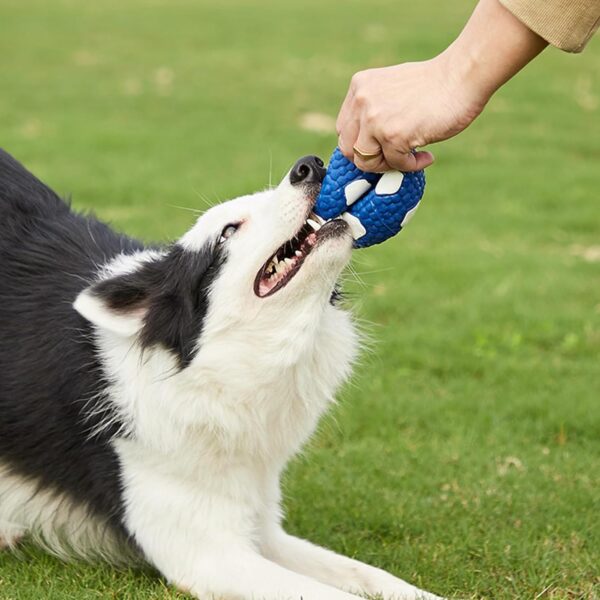 LinZong 2/4pcs Mighty Chew - Indestructible Toy for Dog,Mighty Chew Dog Toy,Bite Resistant Latex Pet Toy Ball,Squeaky Dog Toys,Best Gift for pet Teeth Cleaning and Gum Massage (Small, Combinations) - Image 2