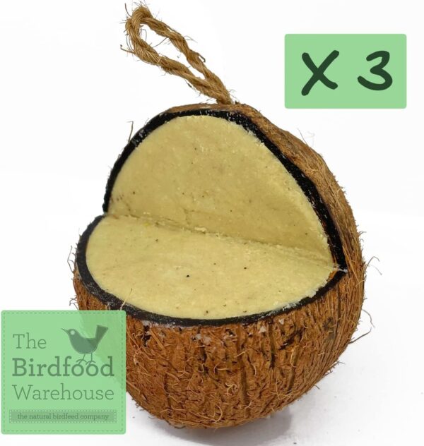 XL Peanut Suet Coconut Feeder, 3 Pack, Wild Bird Food, Butter for Birds, Hanging Feeder, Suet for Birds - Image 2