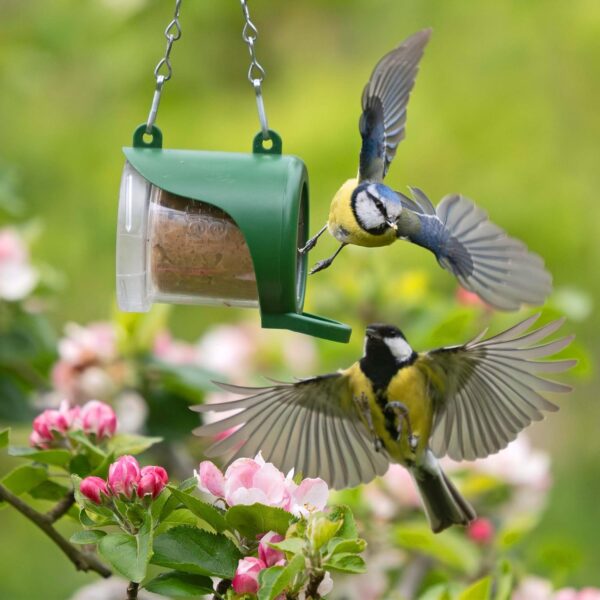 Flutter Butter Starter Pack with 2 Flutter Butter Refills - Peanut Butter for Birds Wild Bird Food - Small Bird Feeder Helps Attract More Birds to Your Garden - Flutter Butter Feeder for EcoRefills - Image 5