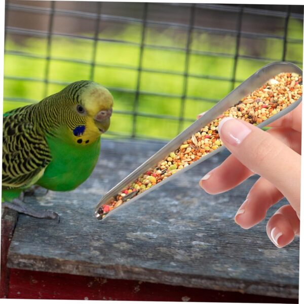 Yardwe 3pcs Feeder Pet Supplies Bird Food Added Tool Birds Food Birds Food Spoons Stainless Steel Food Scoop Pet Feeding Food Parrot Feeding Accessory Bird Food Scoop - Image 4