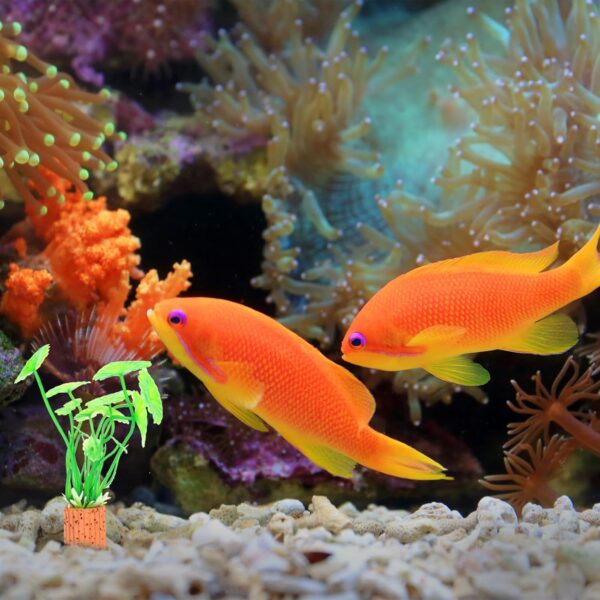 Pack of 15 Aquarium Ring Water Plants, CTDMJ Aquarium Filter Rings, Filter Media Filter Material, Aquarium Filter Rings, Aquarium Water Flora Landscaping Aquarium Ceramic Rings Aquarium Decoration - Image 6