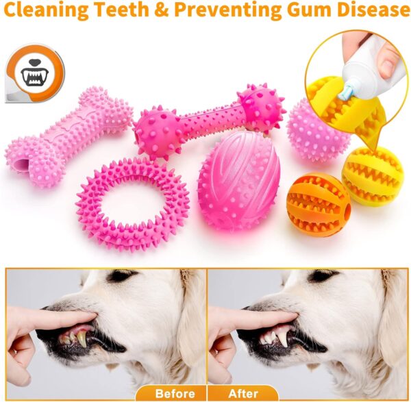 Puppy Dog Teething Toys, 7pcs Puppy Chew Toy Set with Ball, Indestructible Interactive Squeaky Dog Toys Dog Chew Toys Dog Teeth Cleaning Treat Dispensing Toys for 8 Weeks Small Puppies and Medium Dogs - Image 3