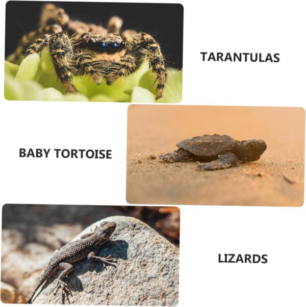 Ipetboom Reptiles Plastic Animals Small Plastic Containers Small Animal Products Snake Dealspet Supplies - Image 7