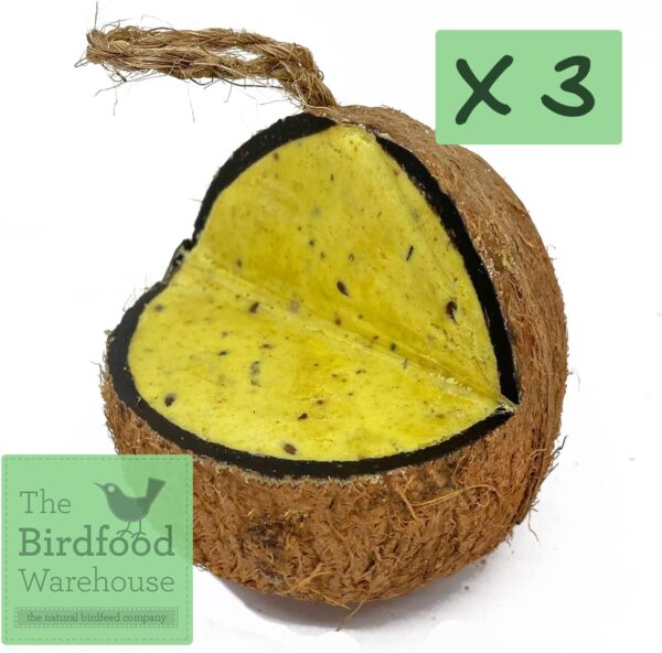 XL Mealworm & Insect Suet Coconut Feeder, 3 Pack, Wild Bird Food, Hanging Feeder, Suet for Birds - Image 2