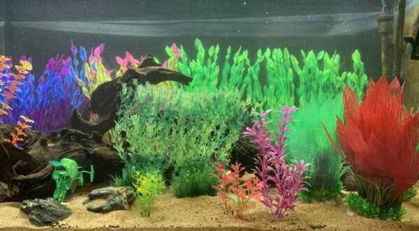 BEGONDIS 14 PCS Artificial Seaweed Water Plants for Aquarium, Plastic Fish Tank Plant Decorations - Image 3