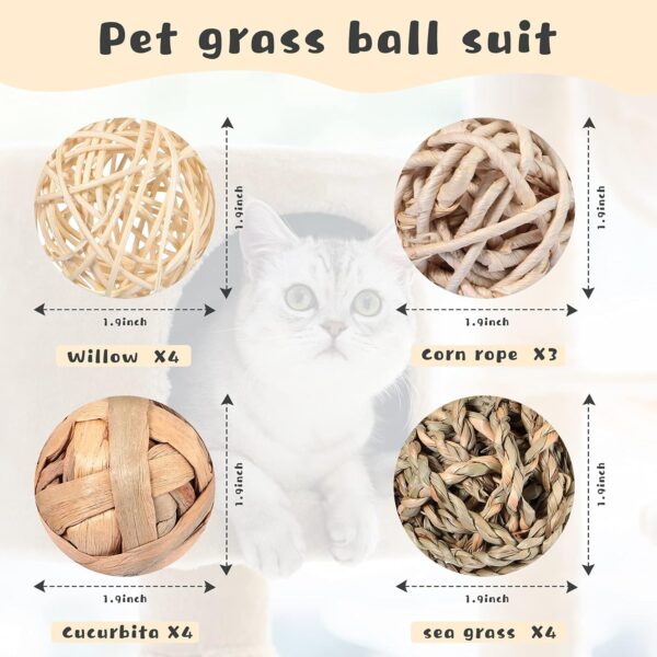 Skylety 15 Pieces Small Animal Chew Ball Toy Rolling Activity Play Balls Bunny Treat Ball Grass Ball Pet Cage Accessories for Rabbits Guinea Pigs Chinchilla Teeth Grinding Gnawing Biting - Image 7