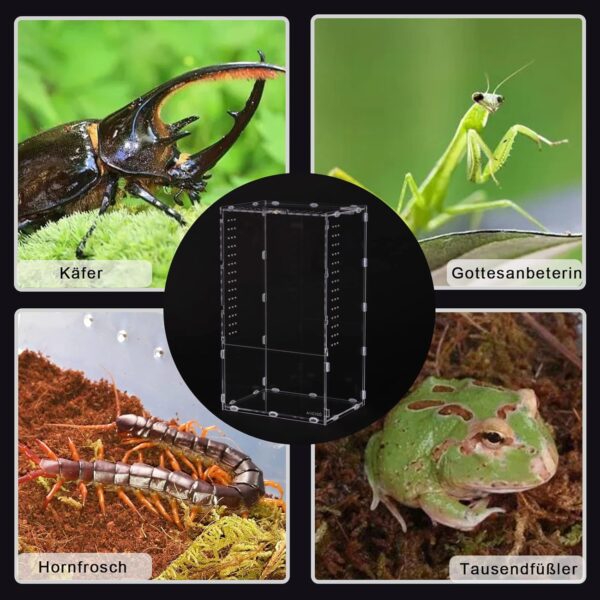 AIICIOO reptile Feeding Box, 20x15x35cm Acrylic Reptile Enclosure Transparent Reptile Pet Breeding Case for Spider, Lizard, Scorpion, Centipede, Horned Frog, Beetle. - Image 6