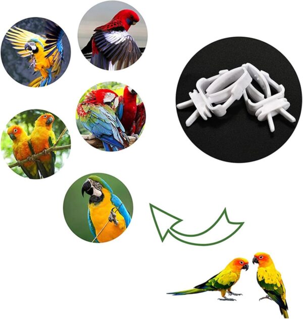 10 Pcs Pet Bird Food Holder Clip Toy for Parrot Parakeets Cockatiel Conure Parrots Fruit Holder Toy Feeding Supplies - Image 2