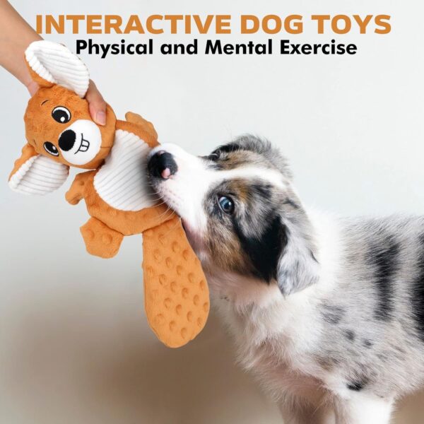petizer Plush Squeaky Dog Toys, Crinkle Dog Chew Toys, Interactive Toys for Puppies, Small, Medium and Large Dogs, Cute Squirrel and Raccoon, 2 Pack - Image 3
