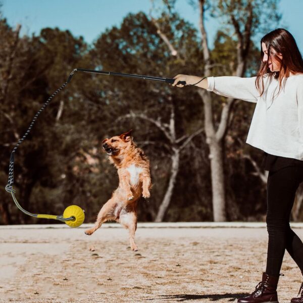 TEKCAM Dog Flirt Pole Extendable Teaser Wand with Interactive Dog Ball Tug Toy Outdoor Pet Flirt Stick Chew Toy Tether Lure Toys for Small Medium Large Dogs Training Pulling Exercise - Image 5