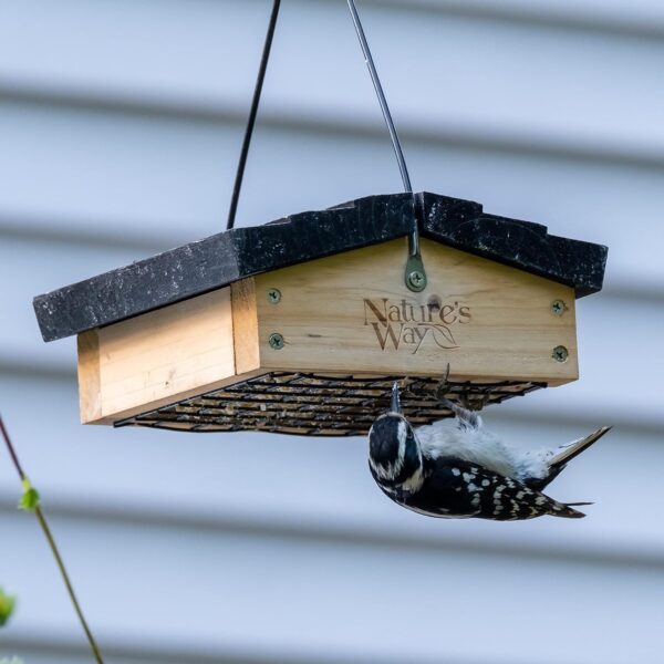Natures Way CWF2 Bird Products Cedar Suet Upside-Down Bird Feeder ,Black - Image 10