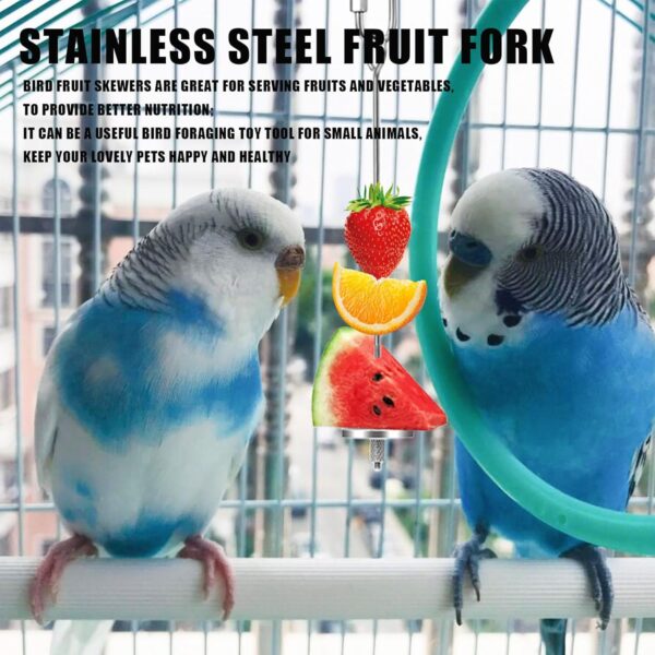 Budgie Food Holder,4PCS Stainless Steel Parrot Skewer Feeder and Plastic Bird Food Clips Set,Bird Treats Fruit Stick Holder Clip Foraging Toy for Parrot Budgie Parakeet Cockatiel Cage (Silver+White A) - Image 5
