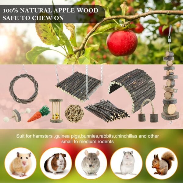 Hamster Toys Rat Toys Chinchilla Toys Hamster Chew Toys Cage Accessories Apple Wood Sticks Ladder Bell Roller for Gerbil Guinea Pigs and Other Small Animal - Image 3