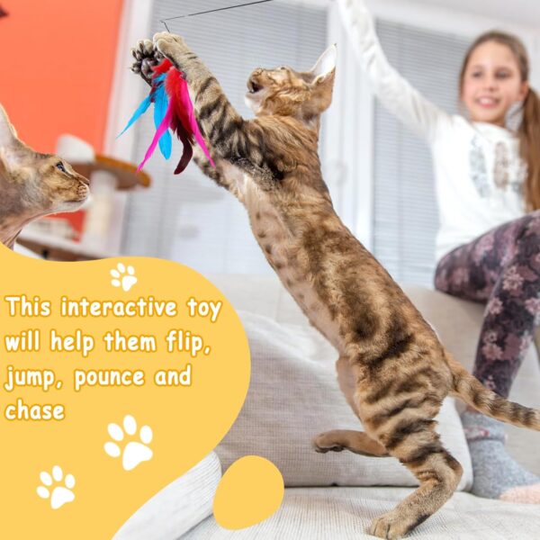 Cat Fishing Rod Toy,Cat Feather Toys With Retractable Teaser Interactive Cat Wand Toys Flirt Pole Cat Toys for Indoor cats adult Kitten for Play,Exercise,Activity & Fun 3 Pcs Replacement Refills - Image 5
