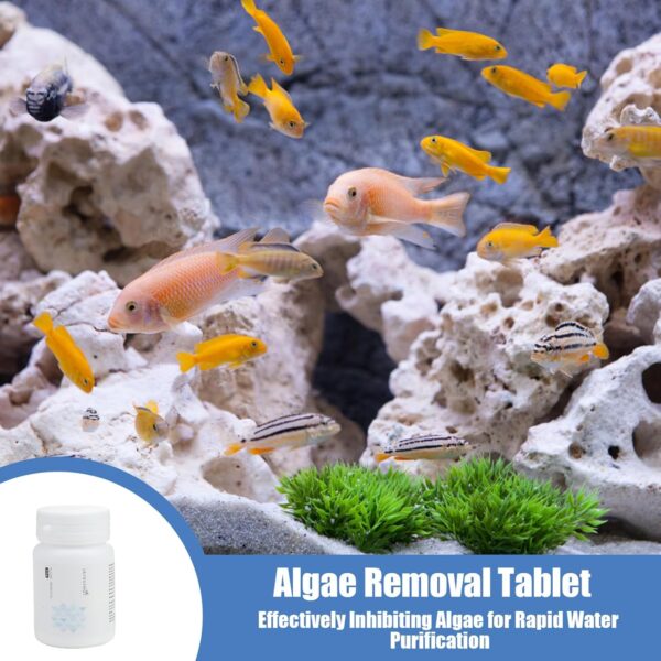 Fish Tank Algae Remover,Fish Tank Cleaner,50g Aquatic Algaecide with Spoon,Safe for Fish and Plants,Natural Aquarium Algae Treatment Clears Green Water and Moss for Clear Water,Healthy Environment - Image 6