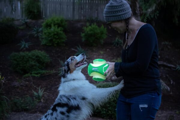 Chuckit! Kick Fetch Max Glow Interactive Rechargeable High Visibility Dog Toy Throw or Kick Toy for Dogs, Small - Image 3