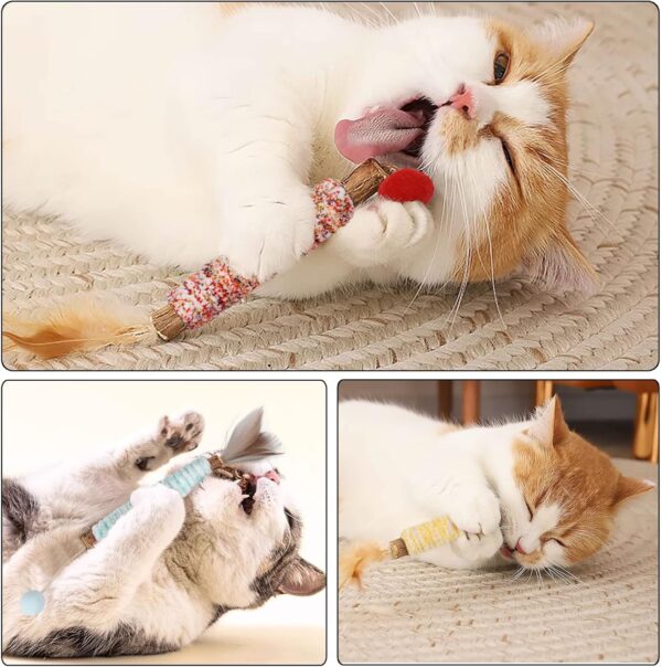 Silvervine Chew Sticks, Kitten Teething Toys for Indoor Cat Chew Toy Natural Matatabi Cat Catnip Sticks Cat Teeth Cleaning and Stress Release - Image 6