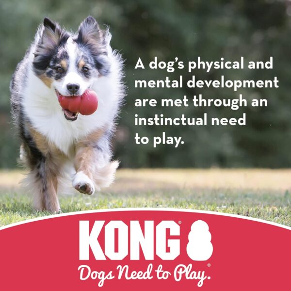 KONG - Puppy Ball - Soft Rubber, Dog Fetch Toy for Teething Pups - For Small Puppies (Assorted Colors) - Image 5
