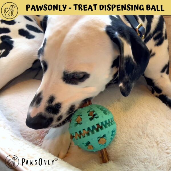 PawsOnlyUK Interactive Dog Toys for Boredom Dog Puzzle Toys Puppy Teething Toys for Small Large Dogs Dog Chew Toys (Large, ORANGE) - Image 2