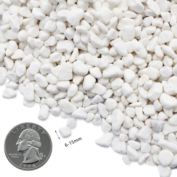 Aleker White Decorative Natural Pebbles, 1.2cm/0.47 inch Mini Assorted Pebble Stones,Mixed River Gravel for Vase Filler, Plant Pots, Landscaping, Aquariums, Home and Garden - Image 3