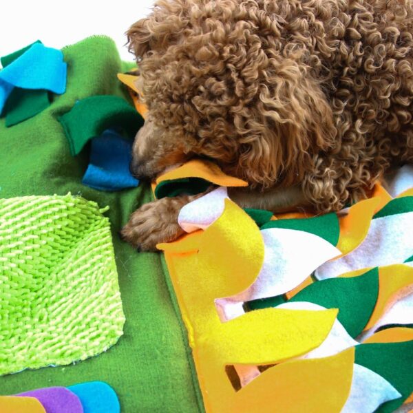 IFOYO Dog Feeding Mat, Dog Snuffle Mat Small Dog Training Pad Pet Nose Work Blanket Non Slip Pet Activity Mat for Foraging Skill, Stress Release Ideal for Dogs (S, Green, 17.7x19.7in / 45x50cm) - Image 7