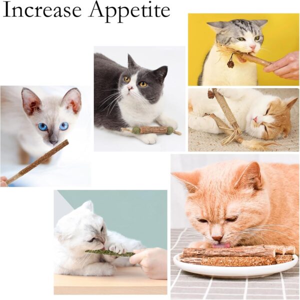 GIAPINST Catnip Toys for Cats, Cat Catnip Sticks, Natural Matatabi Silvervine Chew Sticks, Pet Catnip Teeth Cleaning Toys for Indoor Kitten, Dental Care and Stress Release(12 pcs) - Image 6