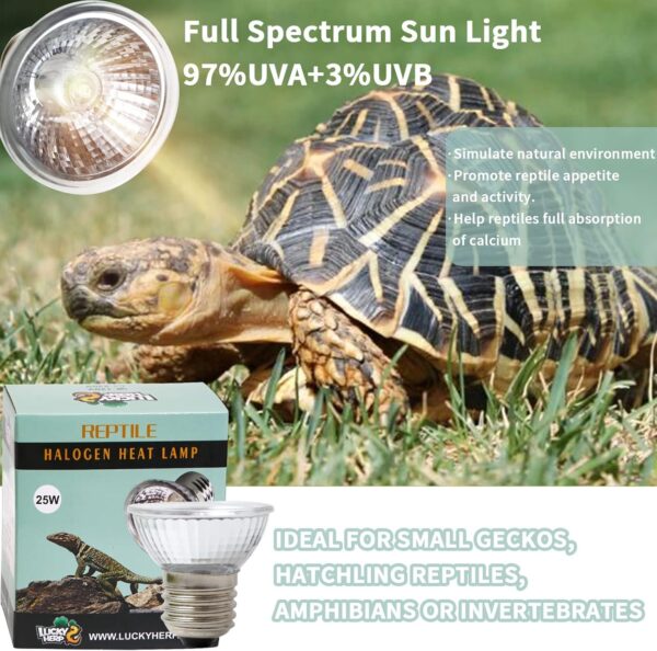 LUCKY HERP Reptile Heat Lamp Bulb 25W 4Pack, UVA UVB Basking Lamp Bulb for Tortoise, E27 Halogen Heat Light for Turtle, Lizard, Bearded Dragon - Image 4