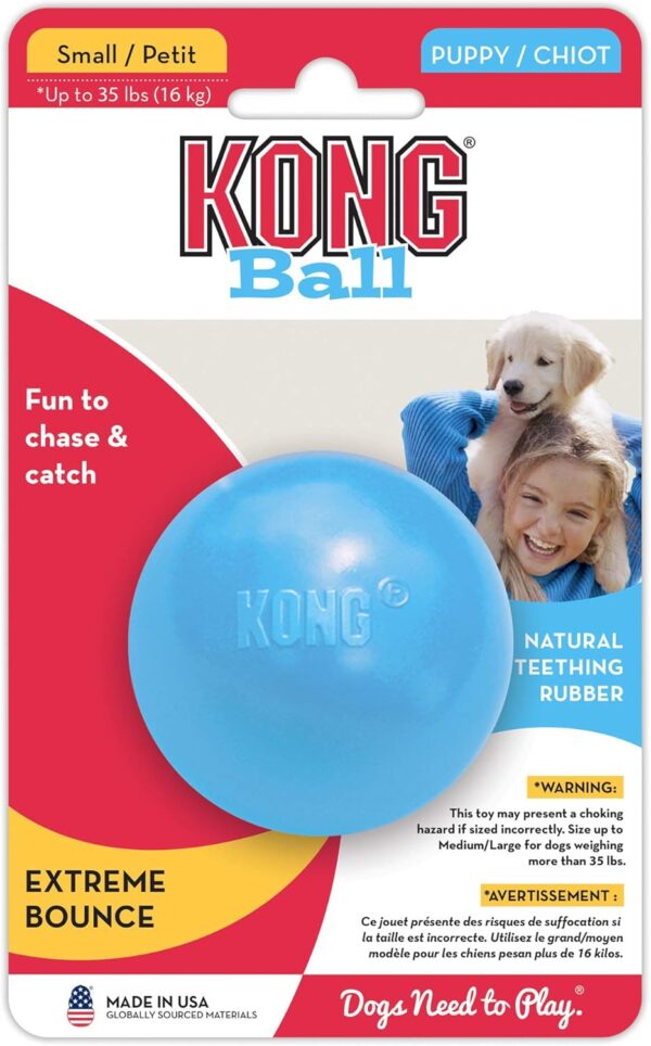 KONG - Puppy Ball - Soft Rubber, Dog Fetch Toy for Teething Pups - For Small Puppies (Assorted Colors) - Image 6