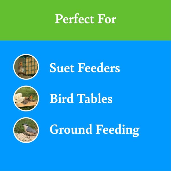 Vegan Suet Cakes for Wild Birds - with Peanuts, Ground Oats, and Rapeseed, High in Energy and Protein, Great for Suet Feeders and Bird Tables (10) - RSPB - Image 5