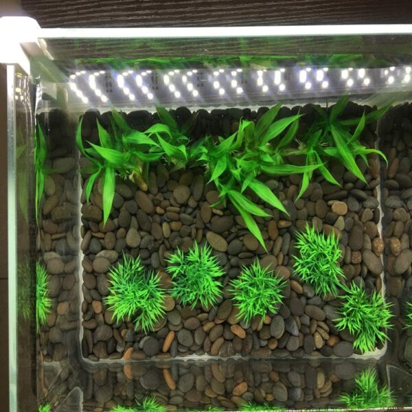 Smoothedo-Pets Aquarium Plants Fish Tank Decorations Small Size/10pcs Set Plastic Artificial Plant Goldfish Waterscape Fish Hides for Small Fish Tank/Bowl (10pcs-B-Set) - Image 6