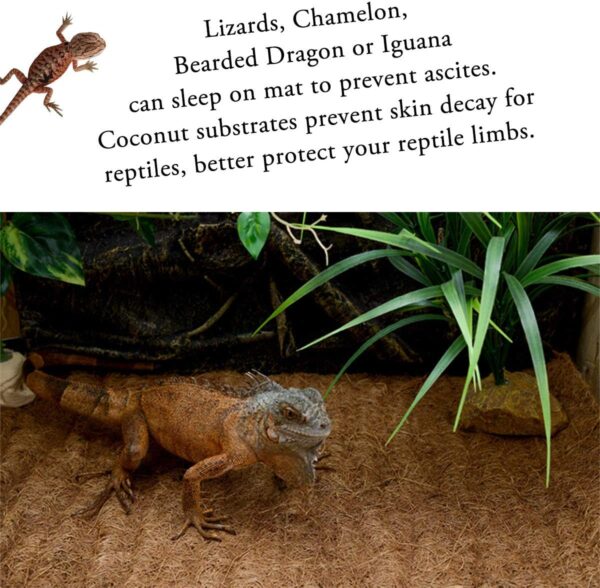 SISIPAI LIFE Reptile Carpet, 36" x 18" Coconut Fiber Carpet Mat, 2 Pack Reptile Terrarium Liner for Tortoise Bedding, Supplies for Lizard, Snake, Chameleon, Gecko, Bearded Dragon, Iguana(91.5x45) - Image 3
