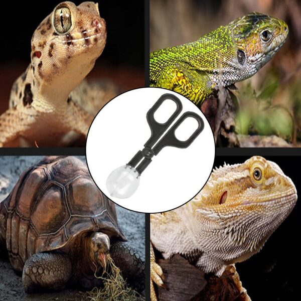NA 3 Pieces Reptile Feeding Clip Tongs Reptile Feeding Scooper Clamp Lizard Beetle Insect Catch Clamp for Tortoise Lizard Frog Spider Tarantulas - Image 3