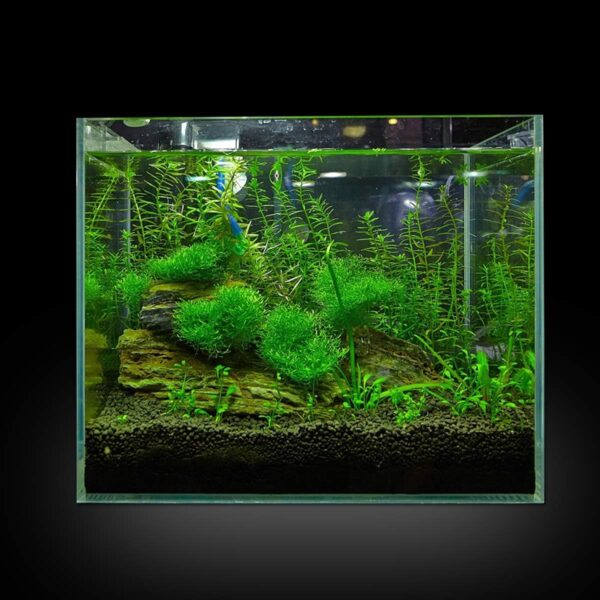 SENZEAL 10PCS Aquarium Plants Mesh Fish Tank Stainless Steel Moss Net Wire Floor Decor for Fish Tank - Image 9