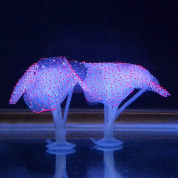 Podazz 4 Pack Glow Aquarium Decorations Coral Reef Glowing Mushroom Anemone Simulation Coral Plant Glowing Effect Silicone for Fish Tank Decorations - Image 6