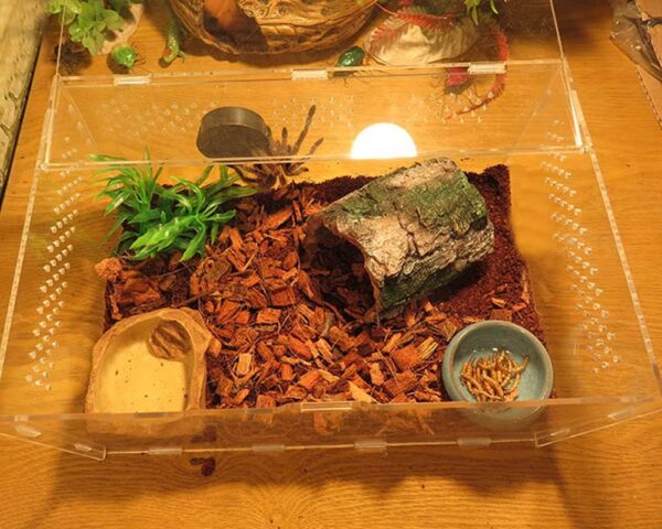 OMEM Reptile Hideout Box,Spider,Scorpion Reptile Hides and Caves Habitat Decor,Imitation Bark Resin Hidden Nest Tortoise Supplies - Image 7
