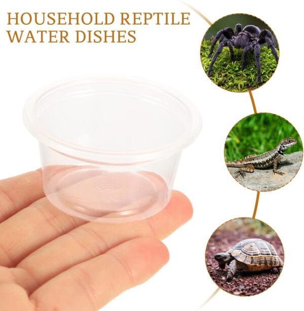 Reptile Food Water Bowl 20Pcs Plastic: Transparent Reptiles Water Tray - Anti-Slip Feed Dish for Tortoise Lizard Bearded Dragon Spider Scorpion Chameleon 4.7X4.7X2.5cm - Image 6