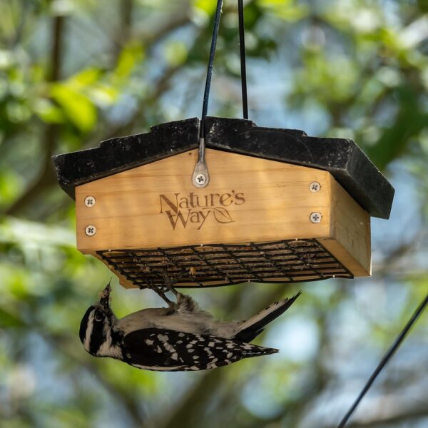 Natures Way CWF2 Bird Products Cedar Suet Upside-Down Bird Feeder ,Black - Image 9