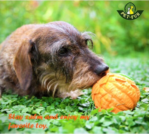Pet-Fun® Treat Ball Dog Toy Pomelo, Tough Dog Balls hiding the treats, Interactive IQ Puzzle Chew Toy, Erratic Bounce, Dog Enrichment Toy, Virtually Indestructible for medium small dogs - Image 3