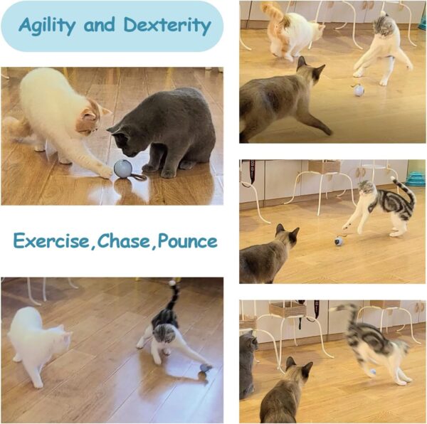 Migipaws Cat Toy, Automatic Moving Ball Bundle Classic Mice + Feather Kitten Toys in Pack. DIY N in 1 Pets Smart Electric Teaser, USB Rechargeable (Orange) - Image 5