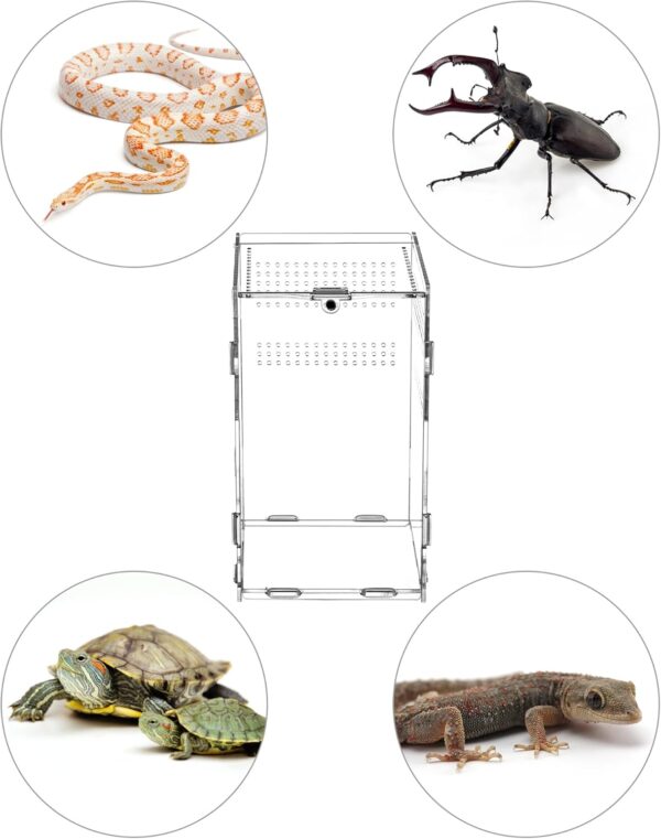 QWORK® Reptile Acrylic Feeding Box, Acrylic Transparent Insect Habitat Terrarium Case, 20×12×12cm for Praying Mantis, Spiders, Lizards, Snails - Image 2