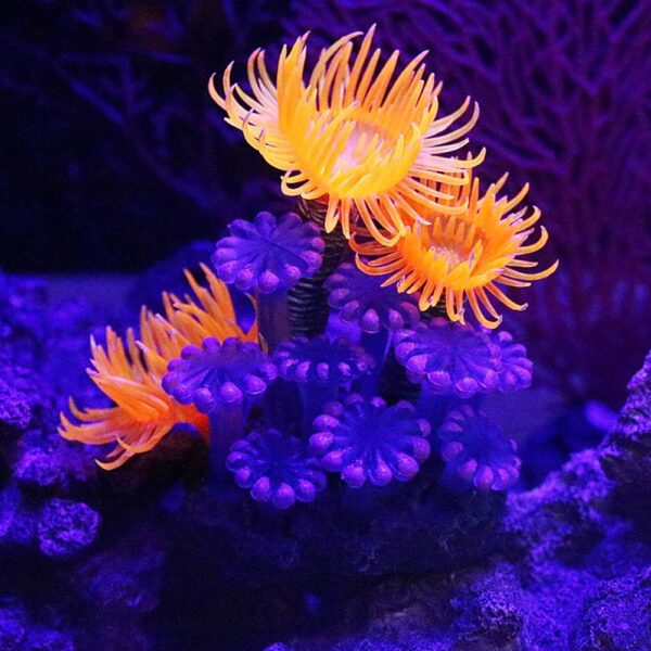 Artificial Coral Plant Aquarium Simulation Artificial Plant Silicone Coral Sea Anemone for Fish Tank Landscape Decoration Ornaments - Image 6