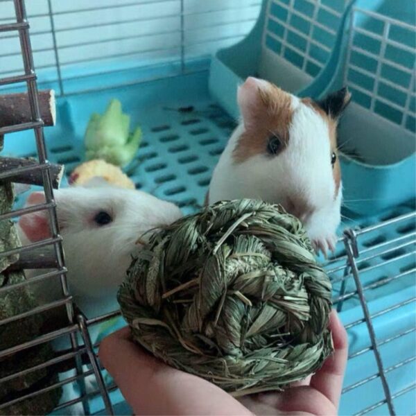 CAMITER 6pcs Rabbit Chew Ball Timothy Grass Grinding Small Animal Activity Play Chew Toys for Bunny Rabbits Hamster Guinea Pigs Gerbils - Image 4