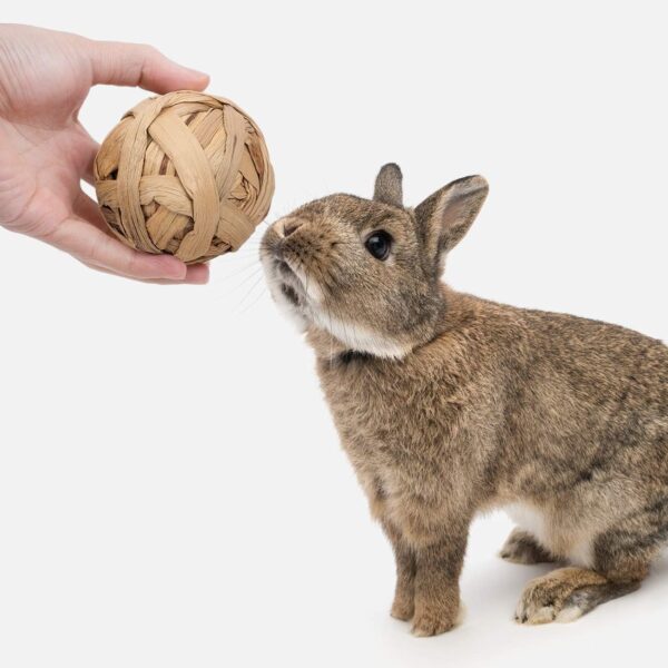 Niteangel Natural Chew Activity Toys Fun Safe Hay Grass Pet Balls for Chinchilla Guinea Pig Rats Rabbits Hamster Gerbil Degu Bunny and Other Small Animals (4 Balls) - Image 4