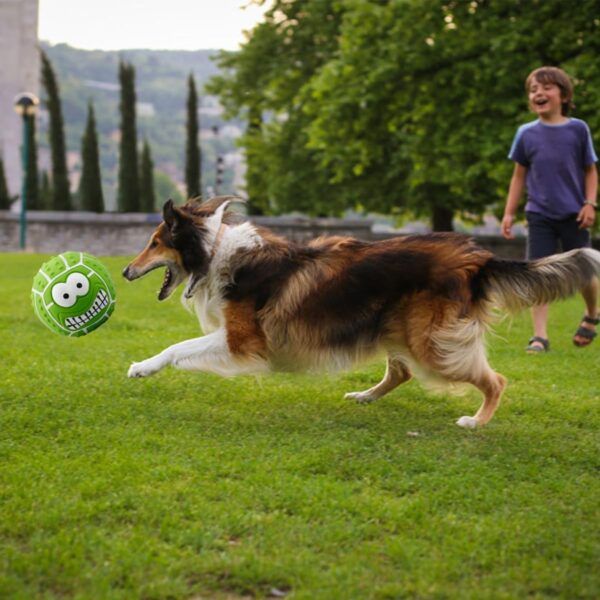 GLADFRESIT 3 Pcs Squeaky Dog Ball - Latex Rubber Dog Squeak Toys, Soft Bouncy Fetch Balls for Medium and Small Pets, Interactive Play and Puppy Chew Toy - Image 5