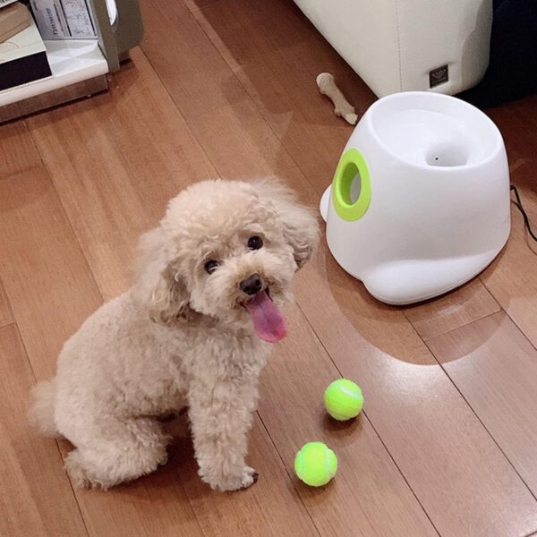ALL FOR PAWS Automatic Dog Ball Launcher, Interactive Dog Tennis Ball Thrower Machine for Small and Medium Size Dogs, Puppy Fetch Toy, Great Exercise for Dogs with 3 Balls, Mini Version - Image 6