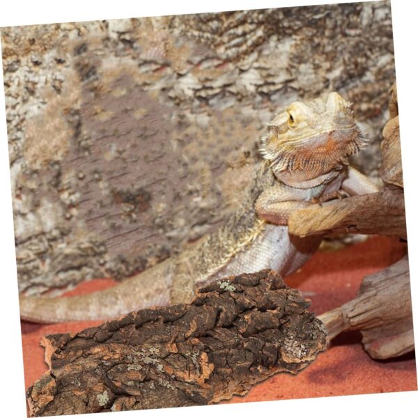 BELLIFFY 4 Pcs Reptile Bark Tank Rainforest Landscaping Material Terrarium Decor Bark Pet Supply Lizard Hiding Bark Dragon Beard Hut Reptile Feeding Decor Reptile Terrarium Decor - Image 3