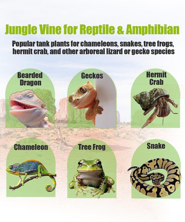 Helidrago Hermit Crab Supplies Climbing Toys, Reptile Climbing Decor Vine, Bendable Bearded Dragon Accessories for Climbing 71 Inches - Image 5
