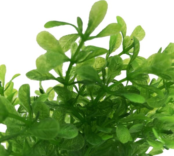 Mascot Pets 15cm Green Plastic Artificial Plant Bush Reeds for Aquarium Fish Tank Aquatic Greenery Décor Decoration Water Grass Plants Coral Trees - Image 4