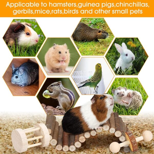 BBjinronjy Hamster Chew Toys Set Small Animal Molar Toys Teeth Care Wooden Accessories for Guinea Pigs,Chinchillas,Gerbils,Mice,Rats,Mouse Rodents Toy Swing Seesaw Bridge - Image 4