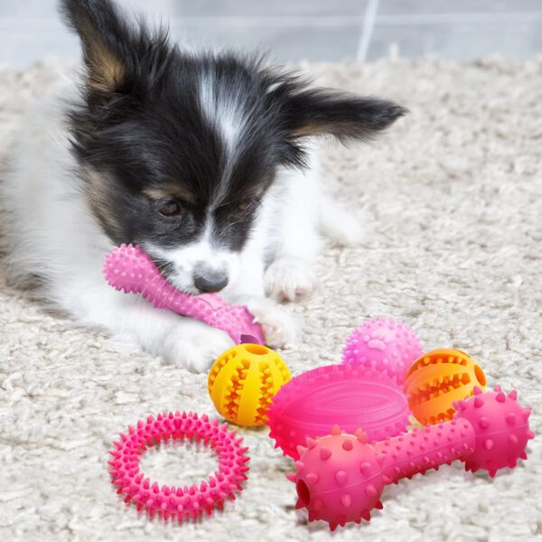 Puppy Dog Teething Toys, 7pcs Puppy Chew Toy Set with Ball, Indestructible Interactive Squeaky Dog Toys Dog Chew Toys Dog Teeth Cleaning Treat Dispensing Toys for 8 Weeks Small Puppies and Medium Dogs - Image 7